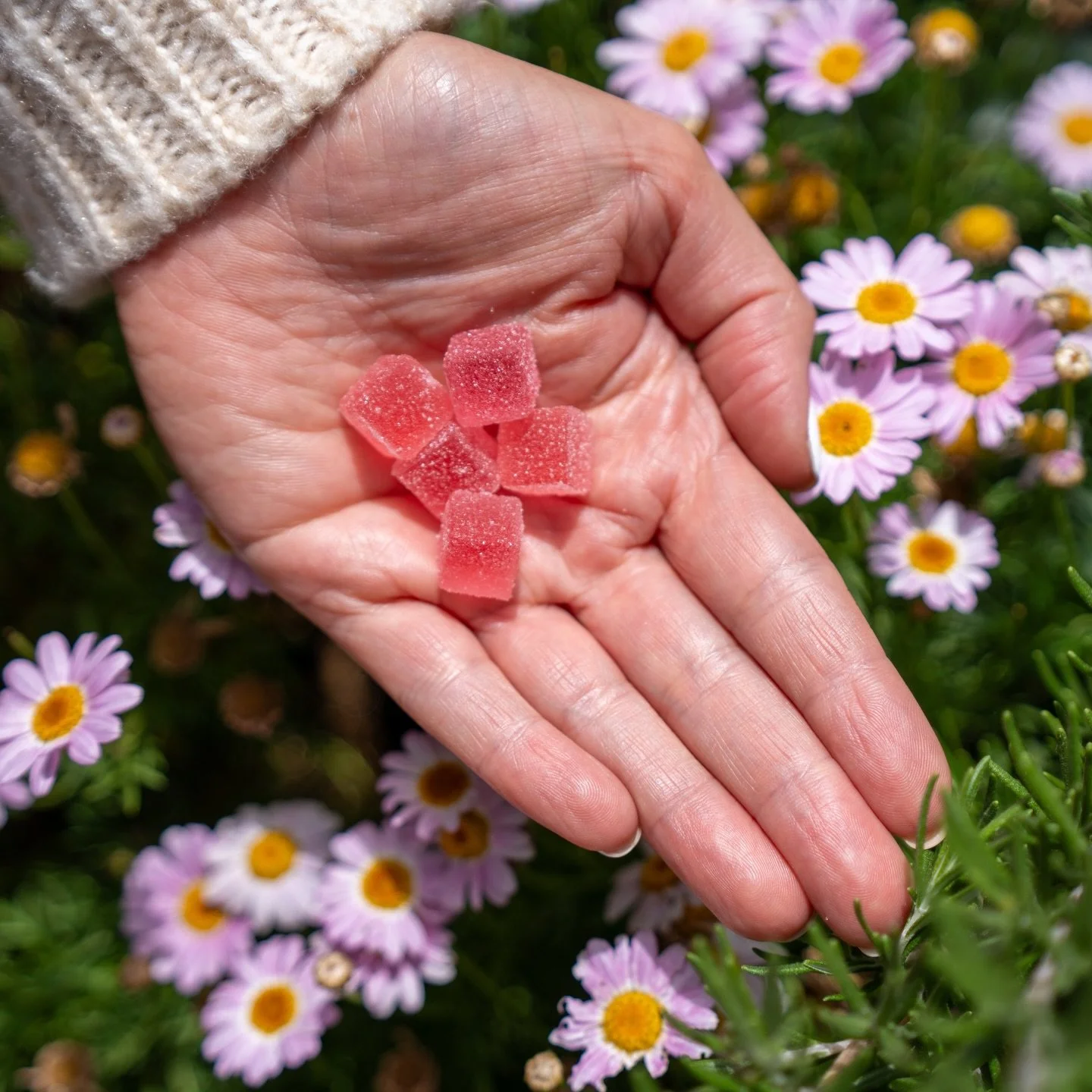 Spring is in full bloom and so is the mood with Uplift Sour Watermelon 🌸⚡️🍉⁠