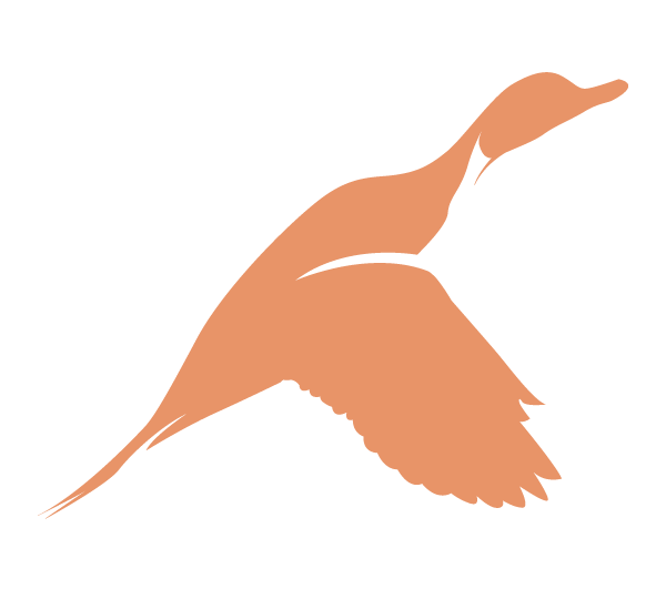 Birdy Icon-01.png