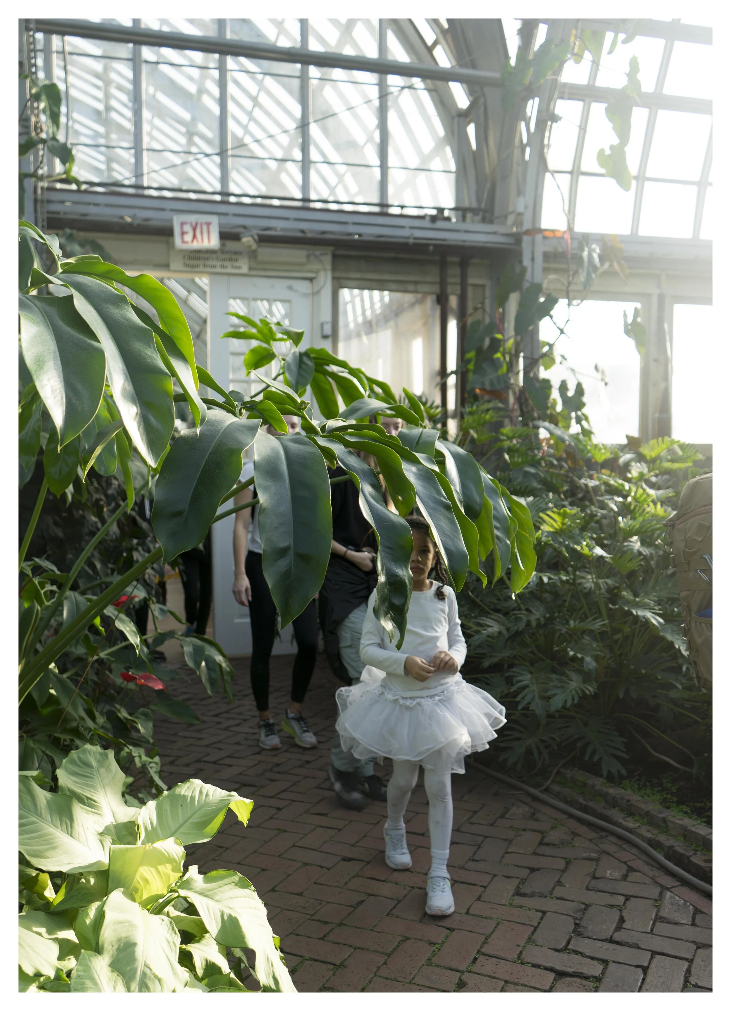  Ballerina in Garfield Park Conservatory 