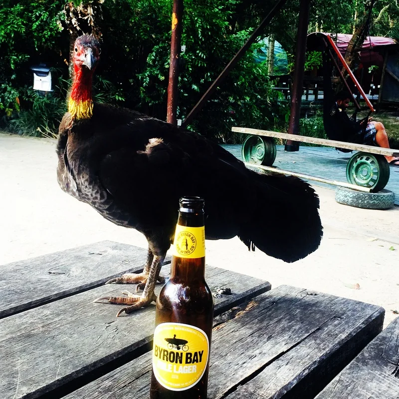 Crazy Dave in Byron Bay