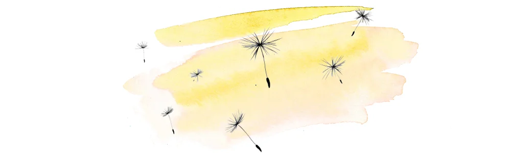 dandelion_PNG12881.png