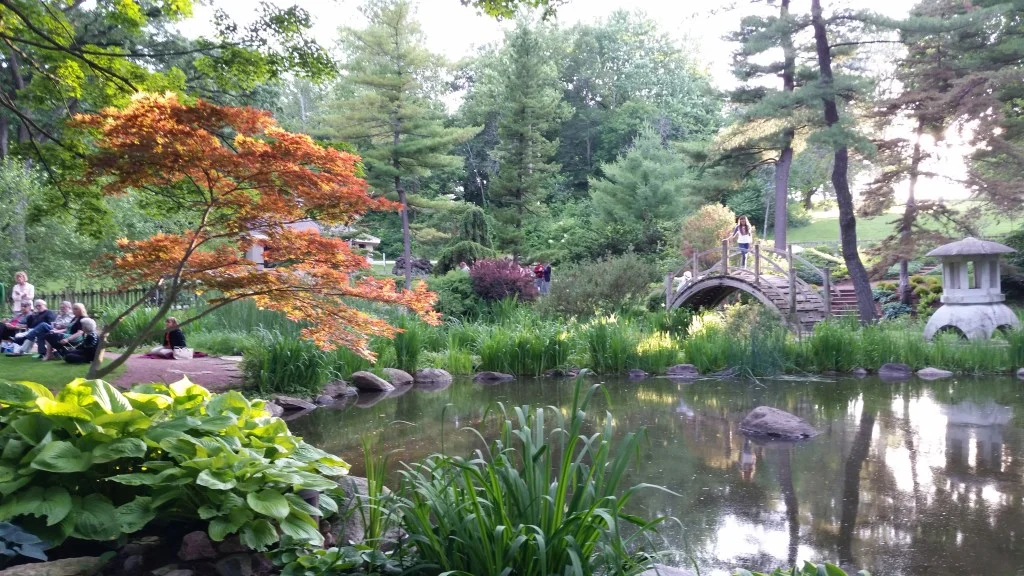 100_2698-1024x768.jpg