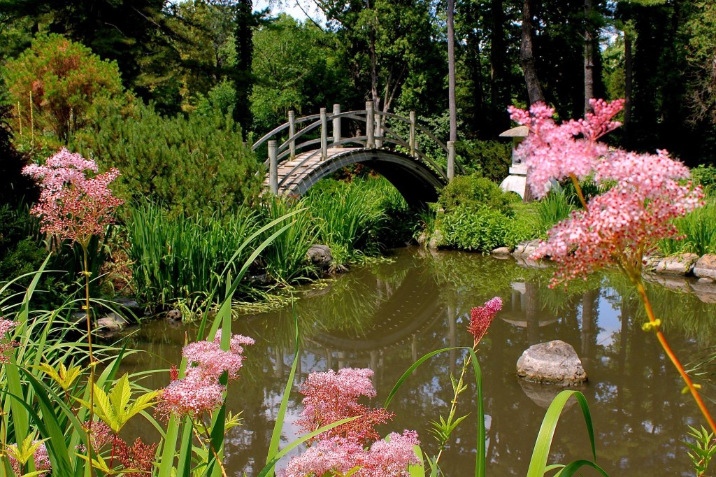 Fabyan Japanese Garden Preservation Partners Of The Fox Valley