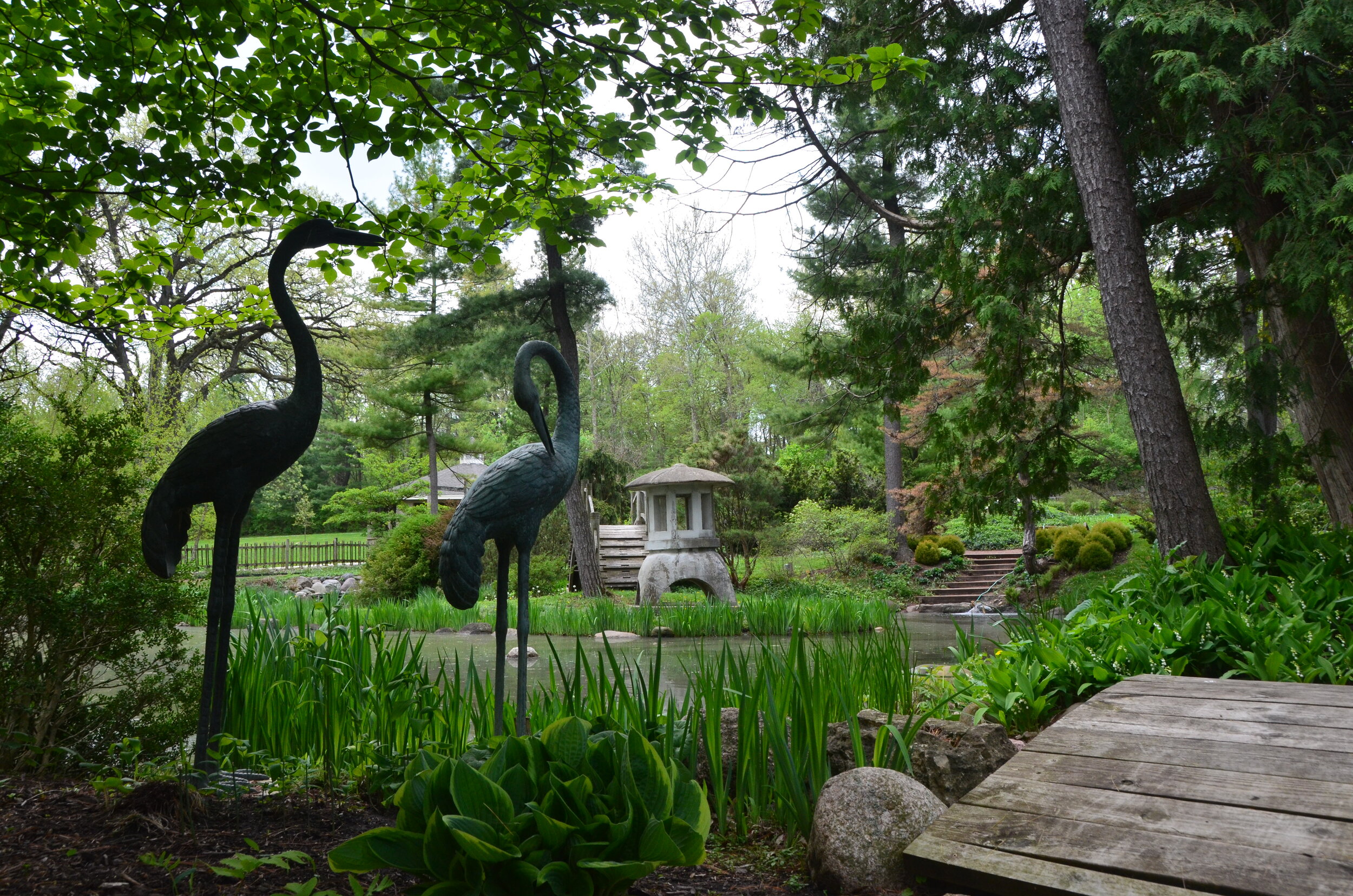 Fabyan Japanese Garden Preservation Partners Of The Fox Valley