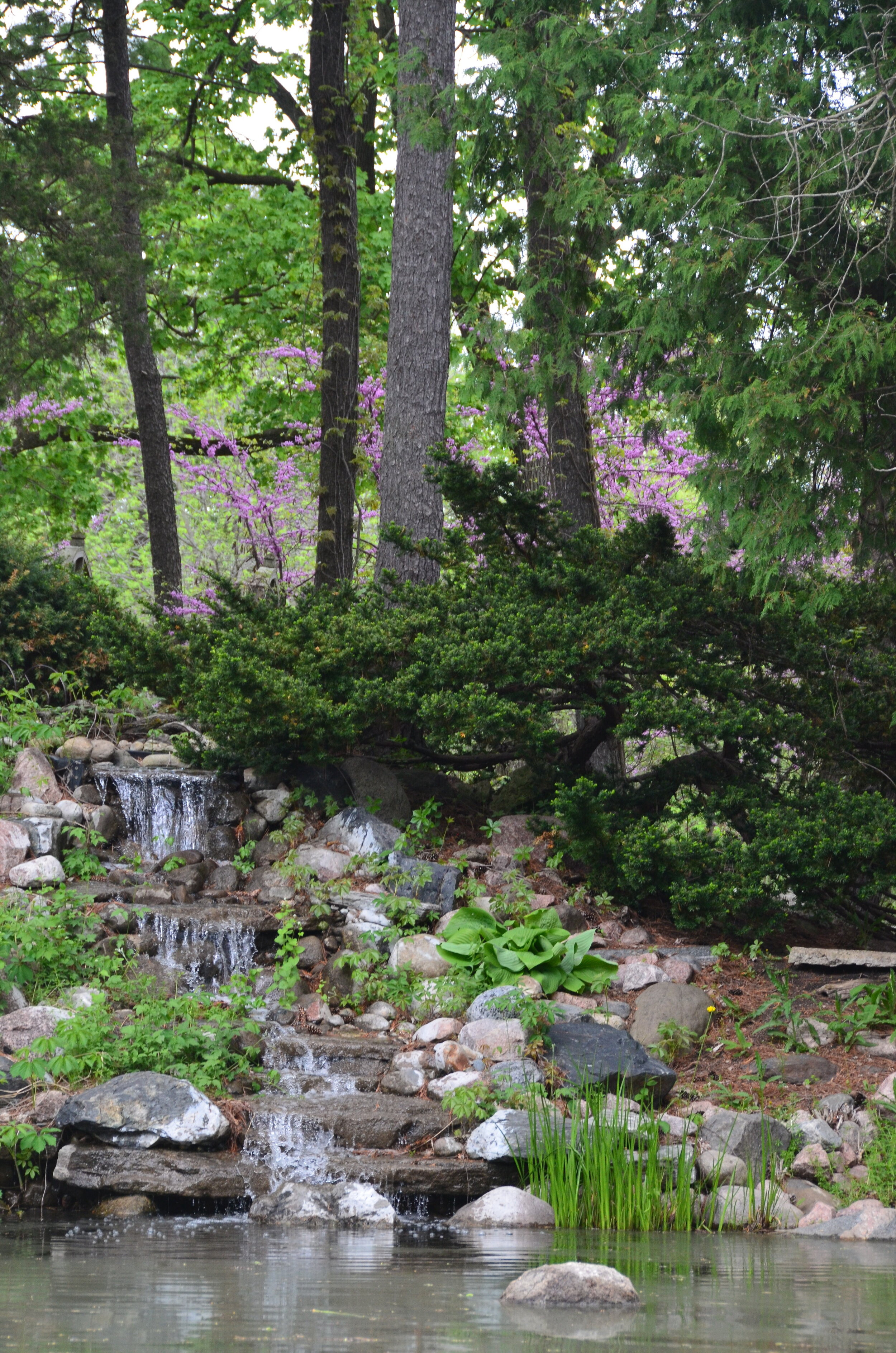 Fabyan Japanese Garden Preservation Partners Of The Fox Valley