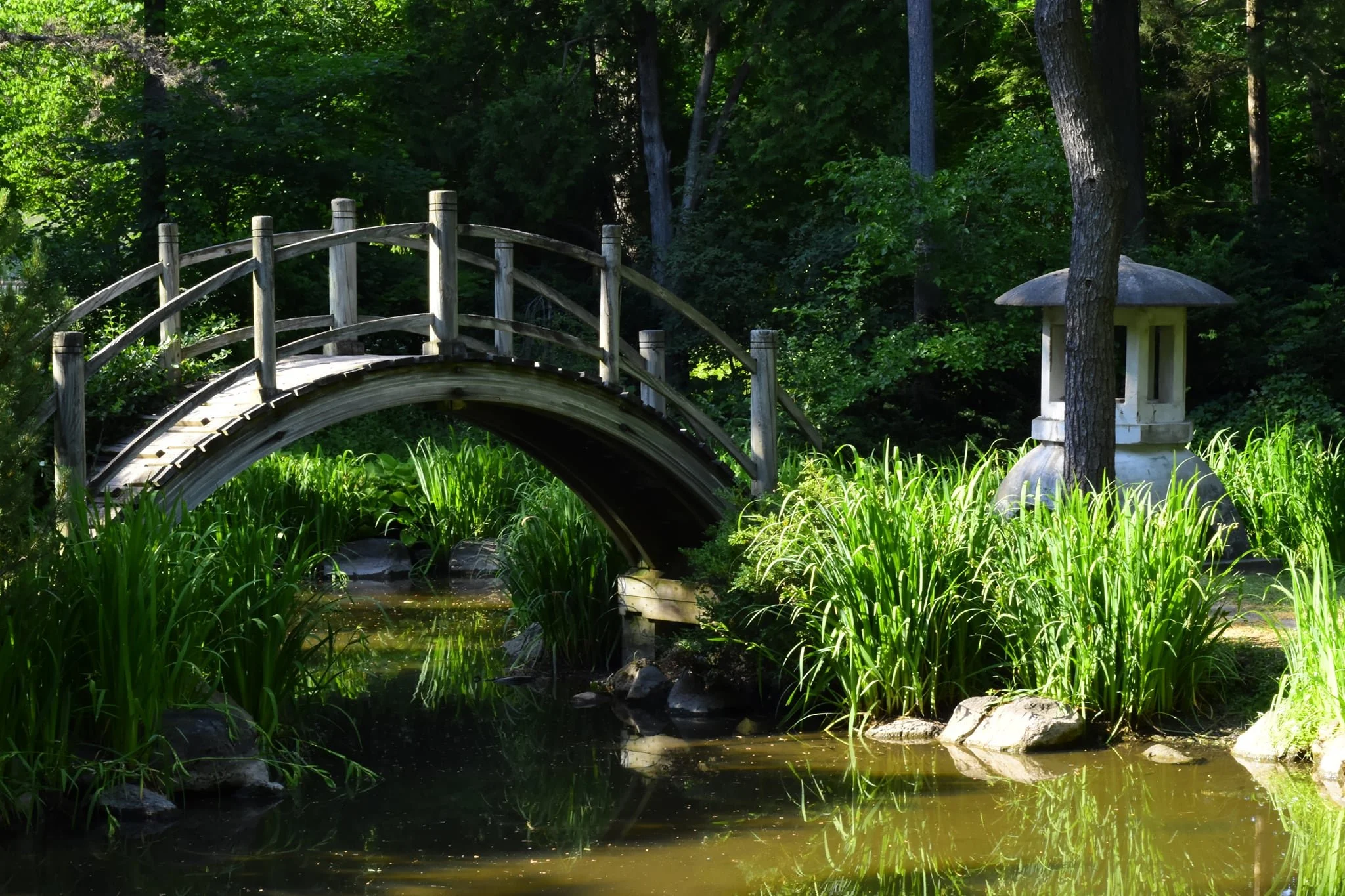 Japanese Garden Season Opening