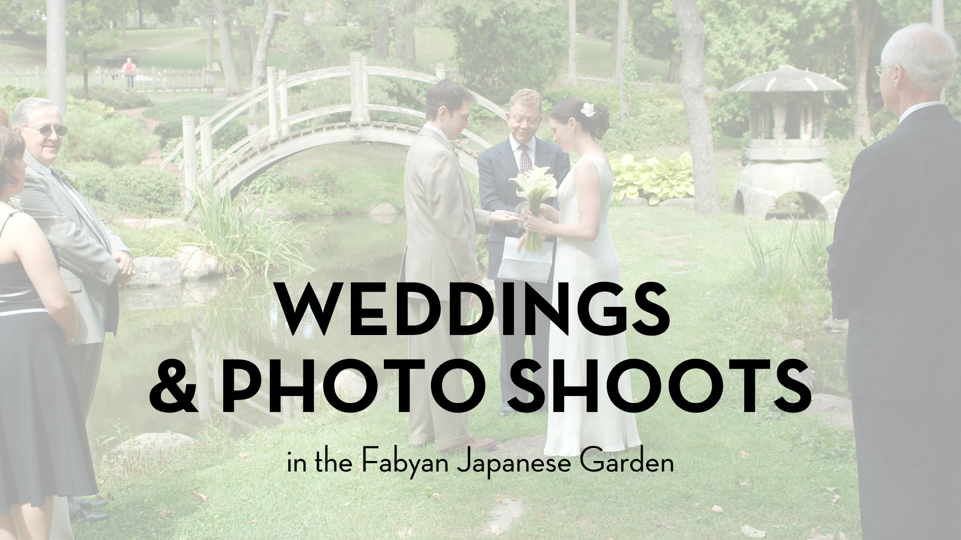 Weddings and photo shoots in the Fabyan Japanese Garden