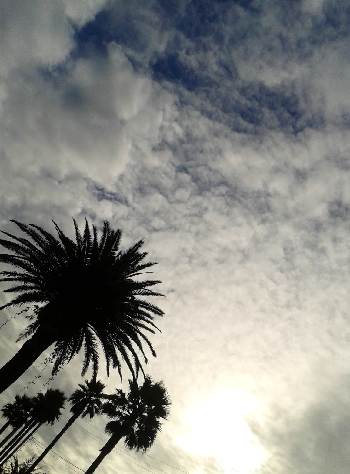 2012-10-21 16.09 flickr.jpg