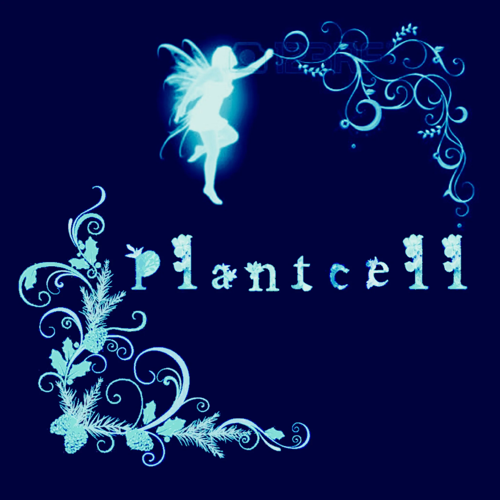 Plant Cell (Japan): Flowergaze? Beautiful organic Shoegaze