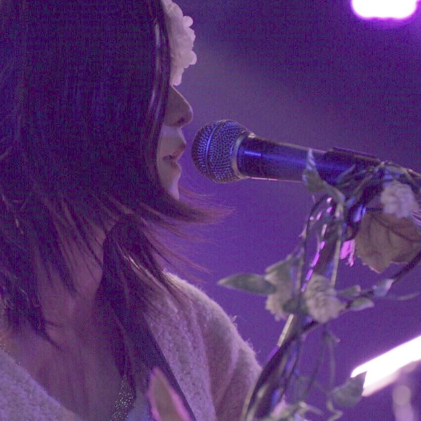 Plant Cell: The band & the interview