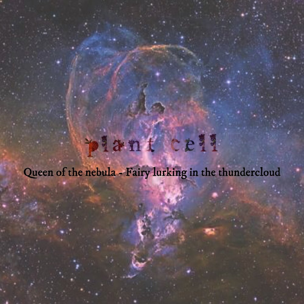 New Ep From Plant Cell Queen Of The Nebula Fairy Lurking In The Thundercloud Noise Artists noise artists