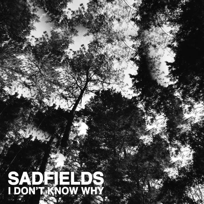 Sadfields I don't know why.jpg