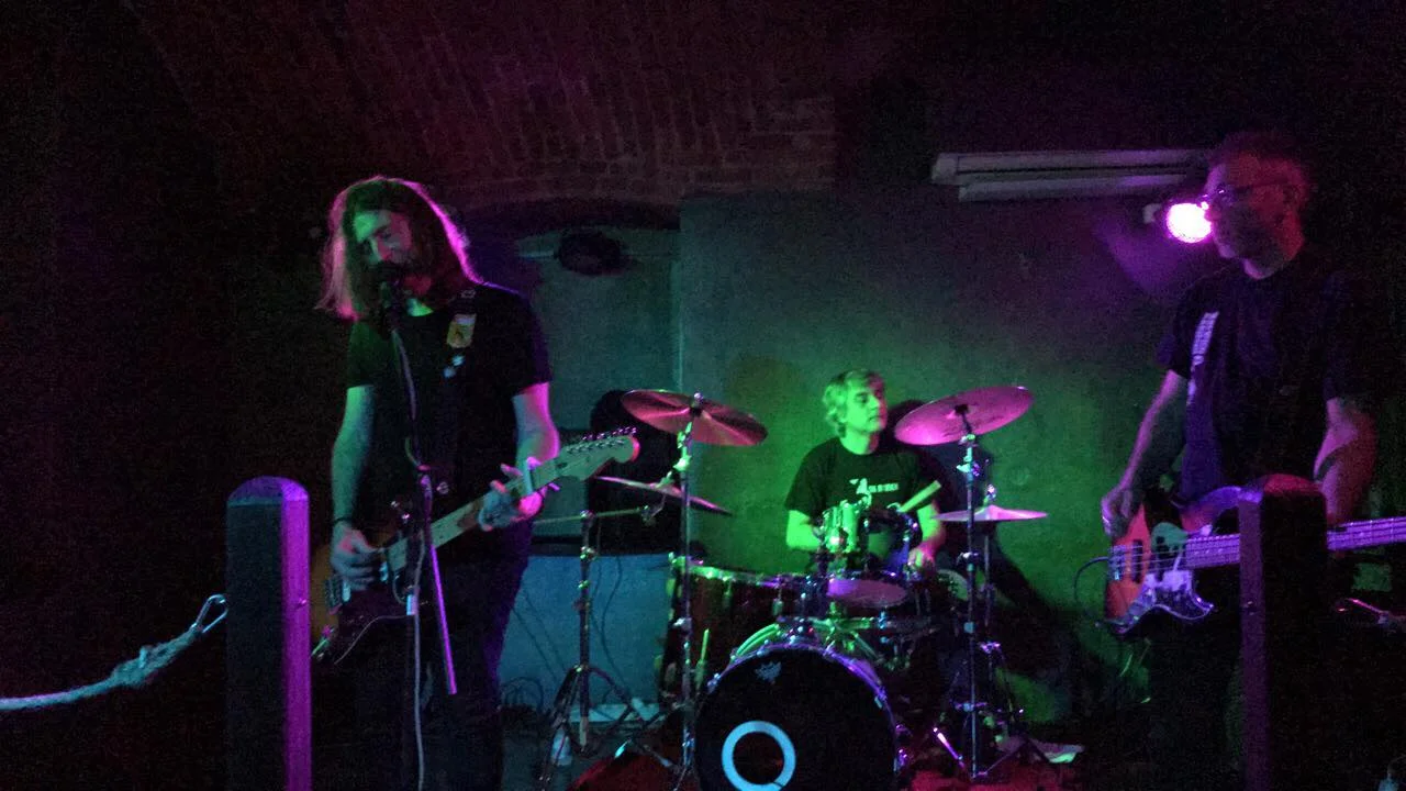 Stella Diana live.jpg