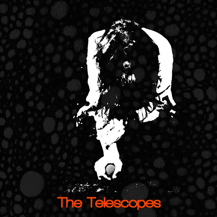 THE TELESCOPES (UK): pioneers of reverb music freedom