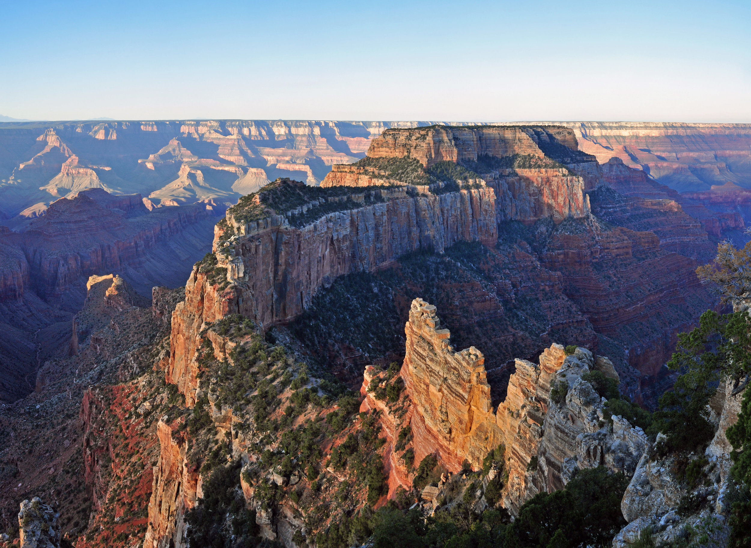 From the Grand Canyon to the Maine Woods: A CENTURY-LONG FIGHT