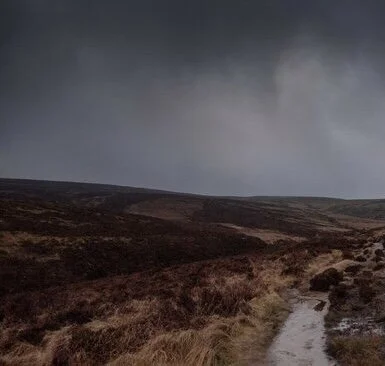 F596C40E-0872-4FA3-9F8C-6DFA7D5A8339