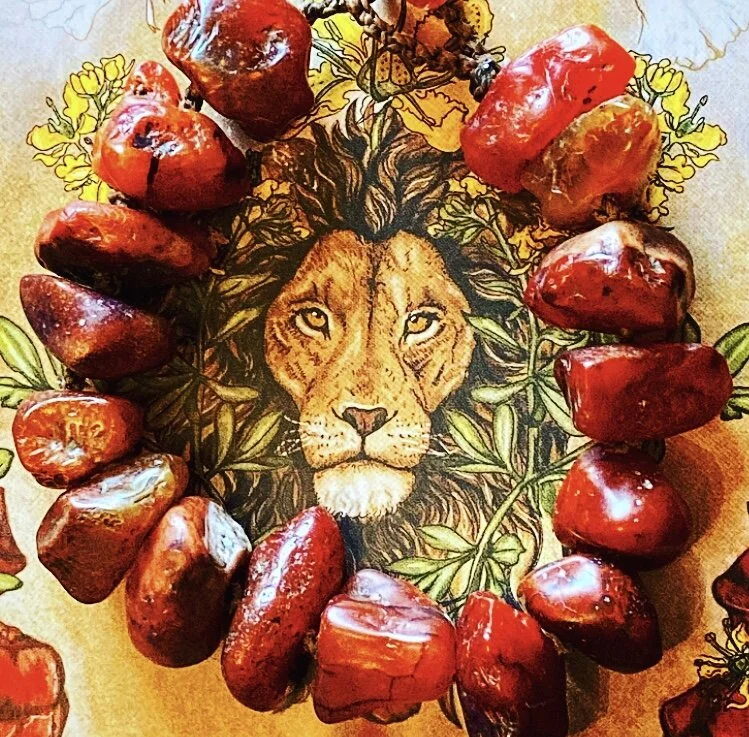 5C1467E4-5398-435A-A49D-E929219B1FA1