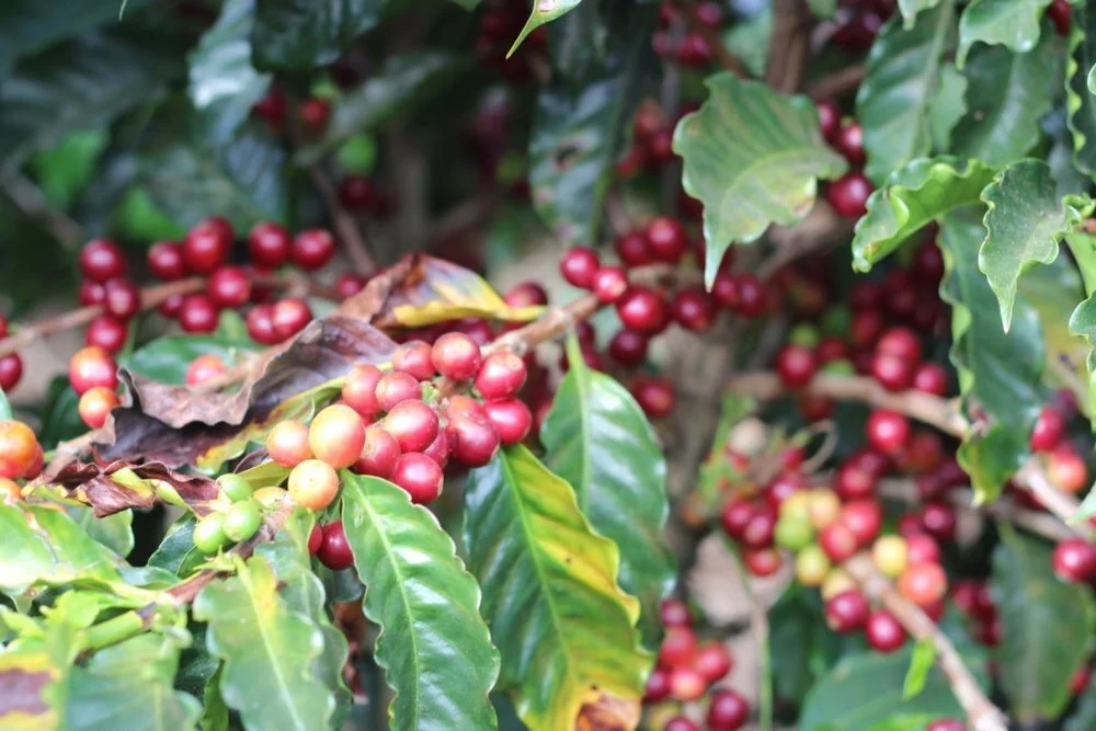 E41B018D-BAE2-4FE2-A531-A04DE801E242