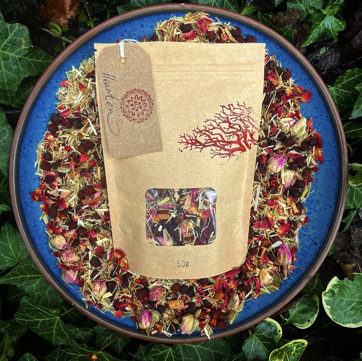 6EF0C6D9-CF8A-4741-9591-9CD988F74CB6