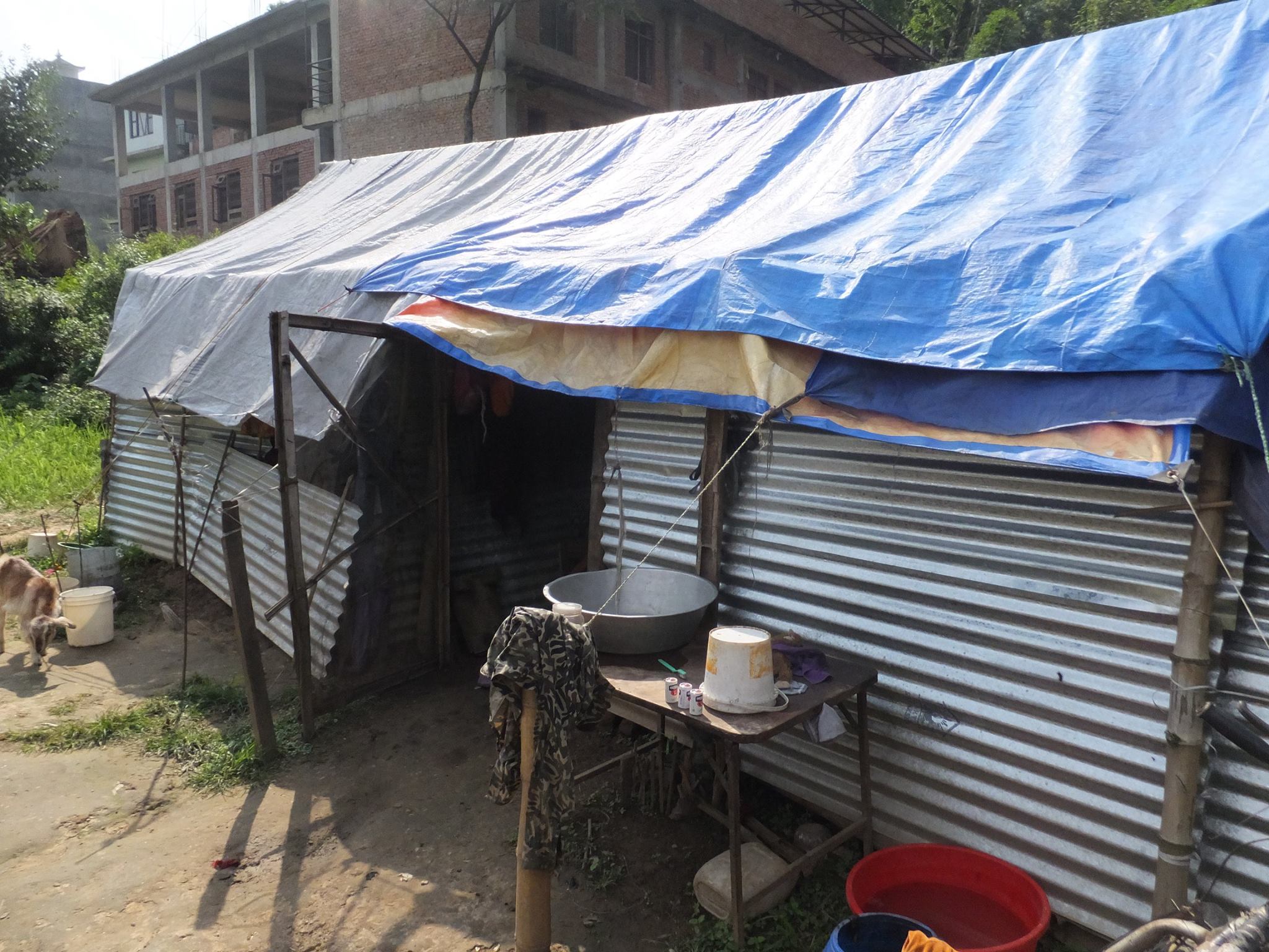 A visit to one of our Contact Center kids' homes.