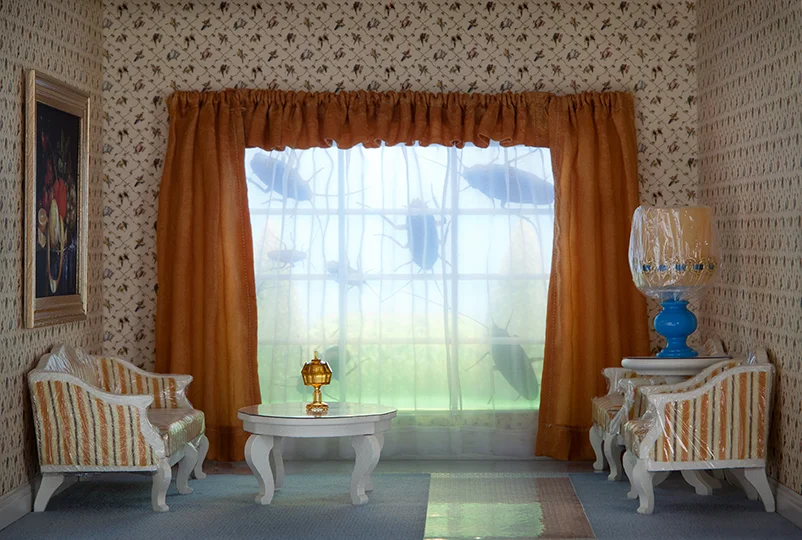 the_front_room.jpg