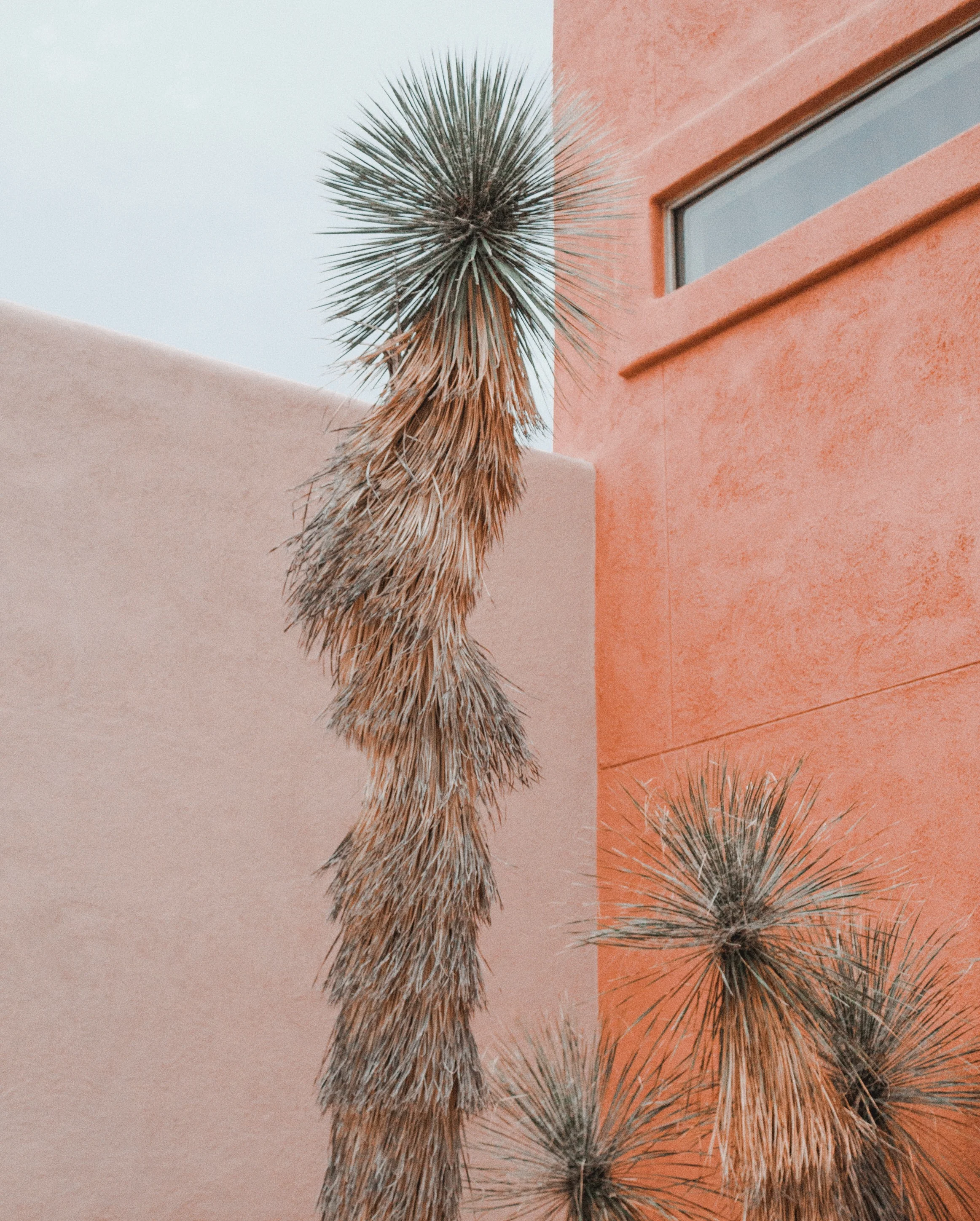 tucson arizona 2018