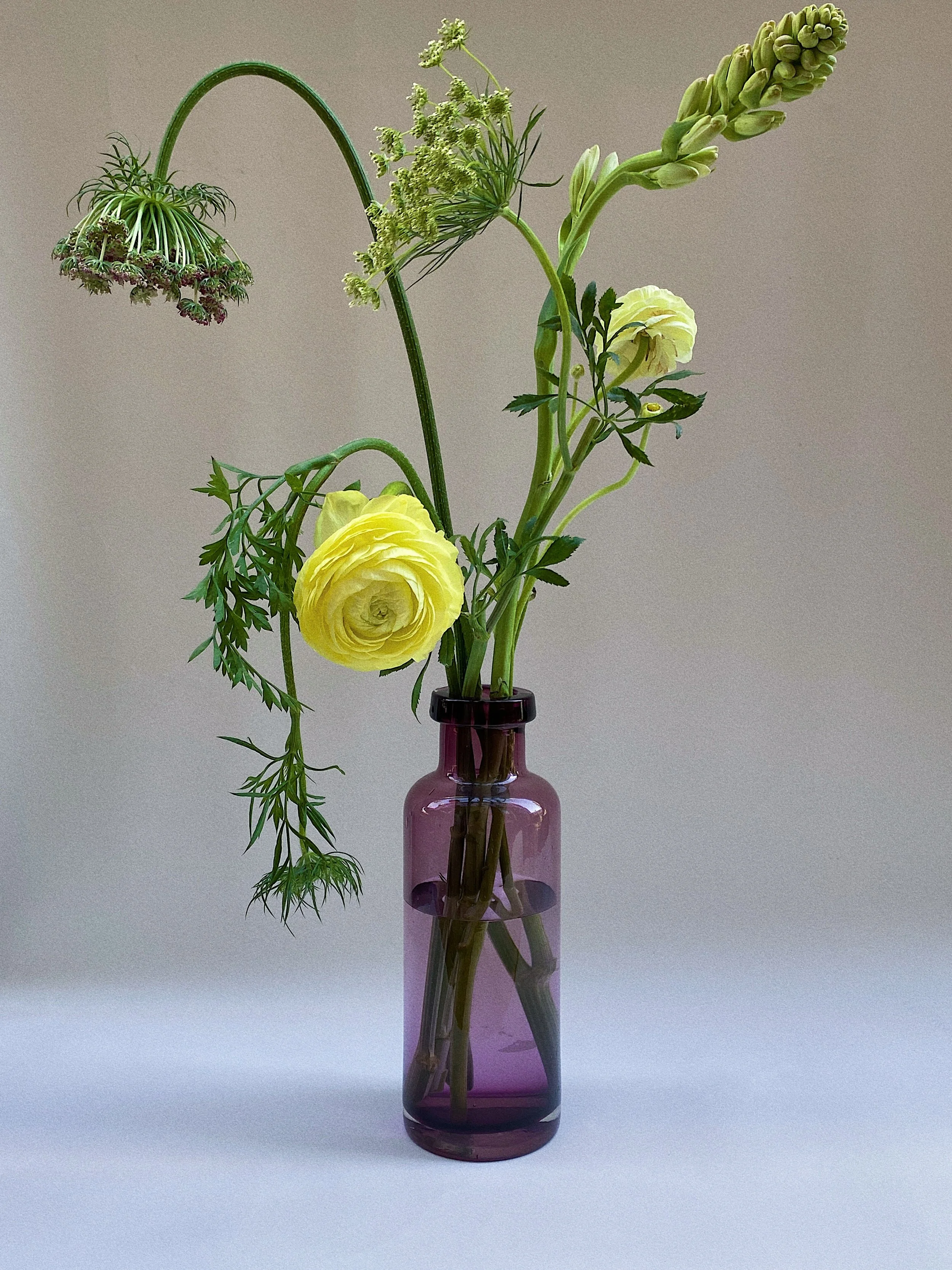  yellow poppy arrangement for ginko village  west philly, 2025 