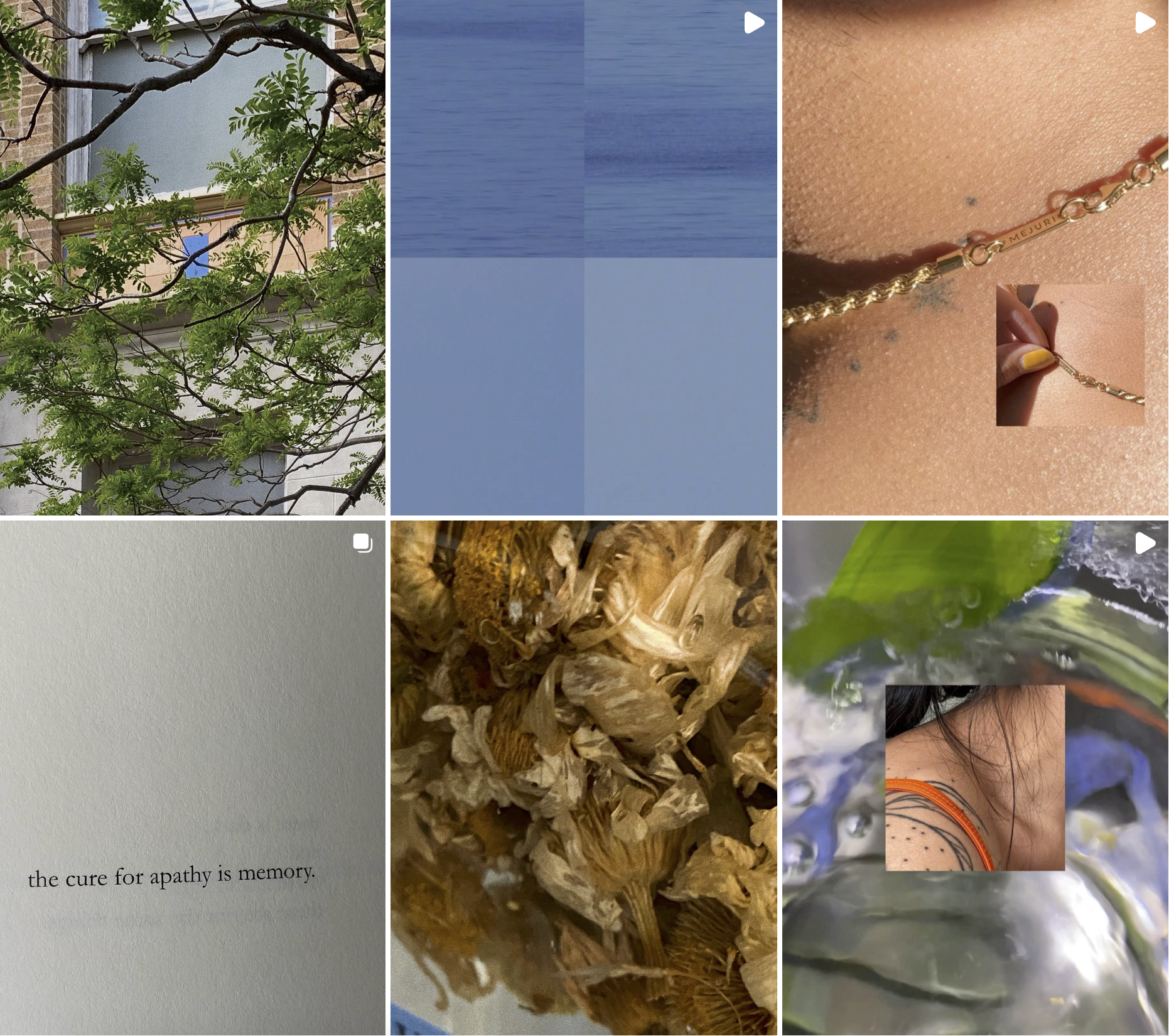 Screenshot 2025-02-25 at 2.55.21 PM.png