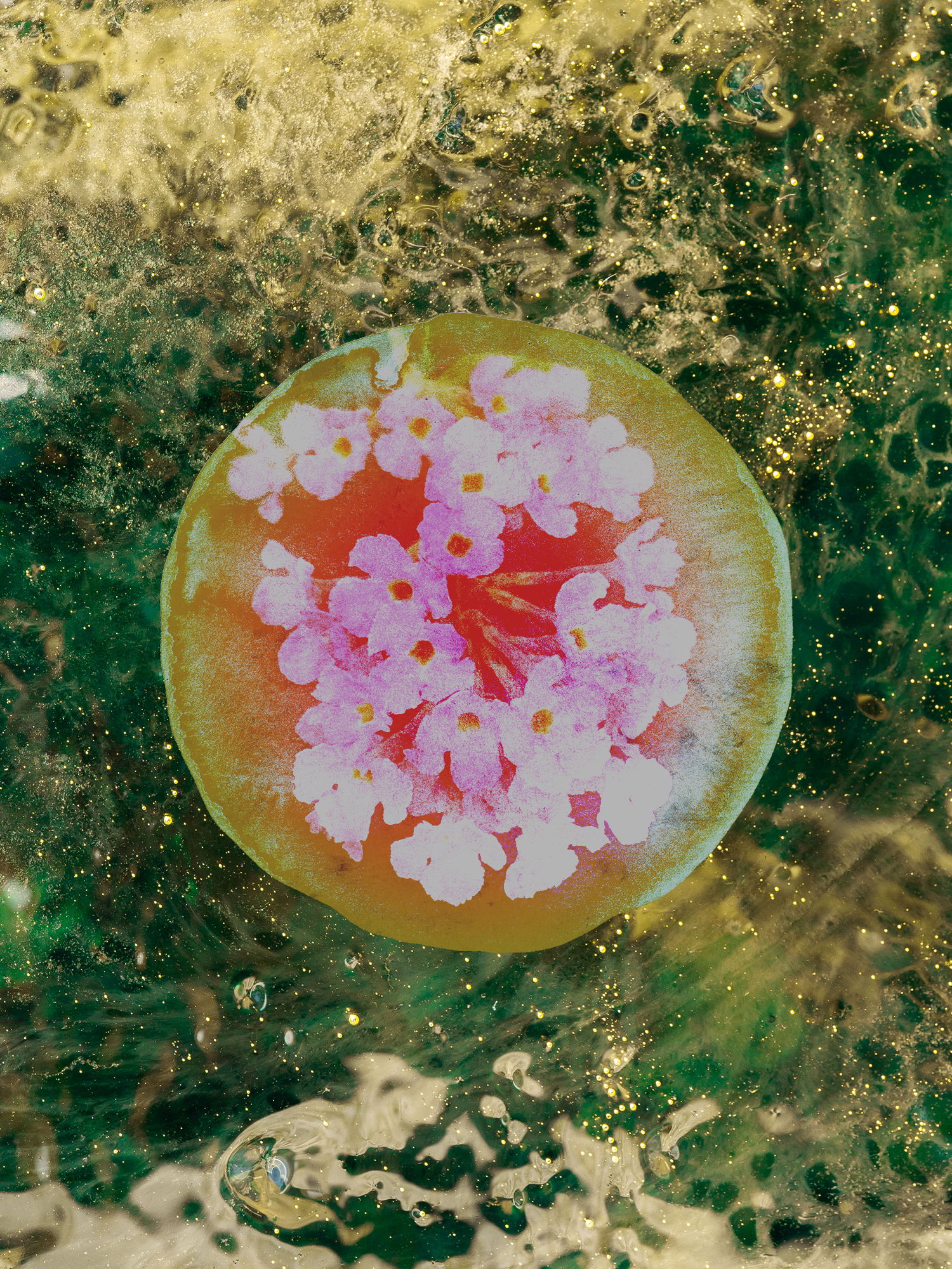 butterfly-print.png