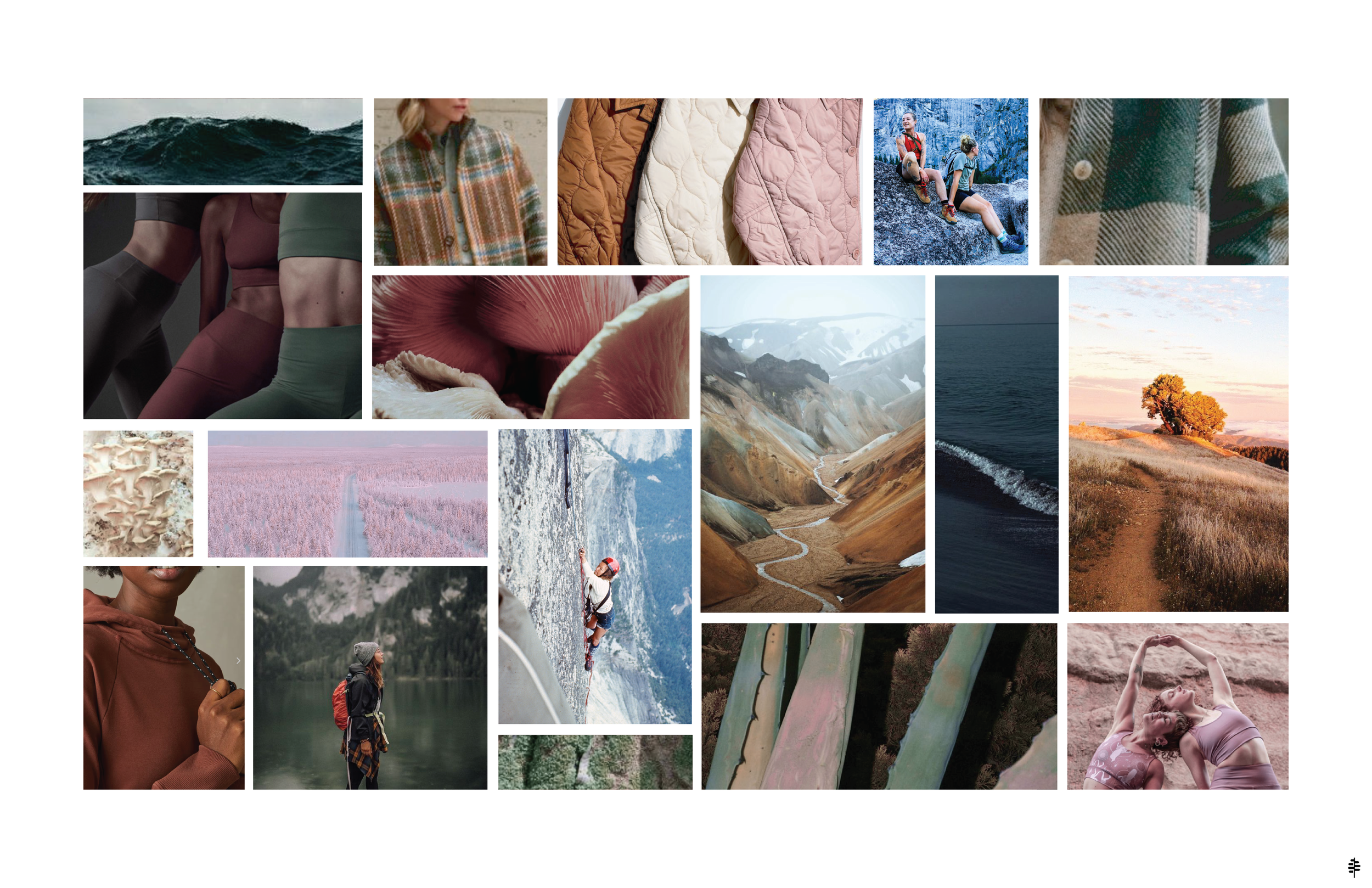 F24 Ws COLOR PRESENTATION.png