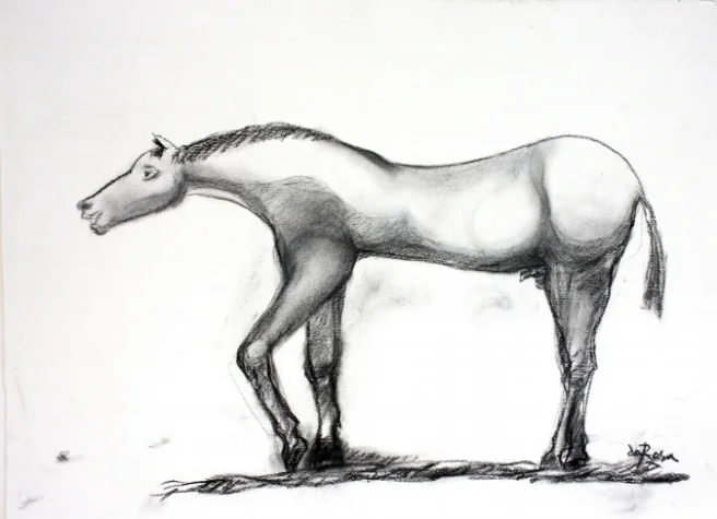 Laughing Horse<br>22 x 30"<br>Charcoal on Paper, 2017