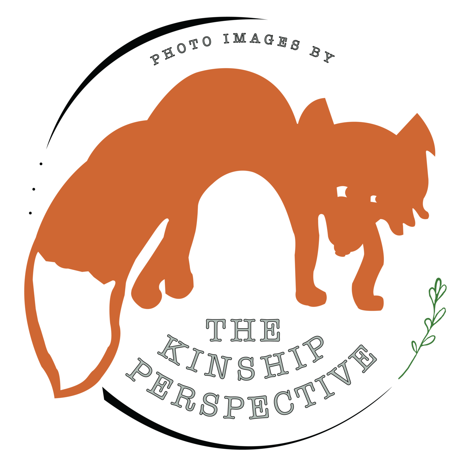 The Kinship Perspective