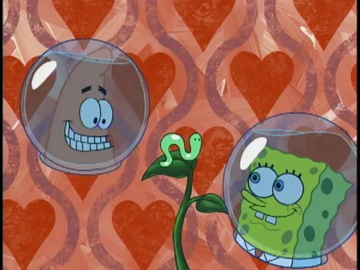 sponge.jpg