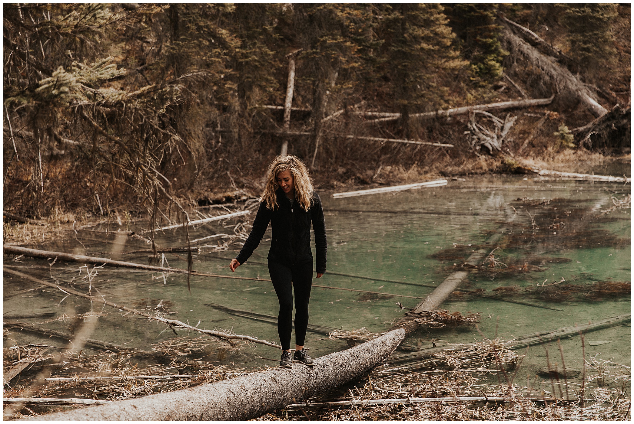 Banff Road Trip