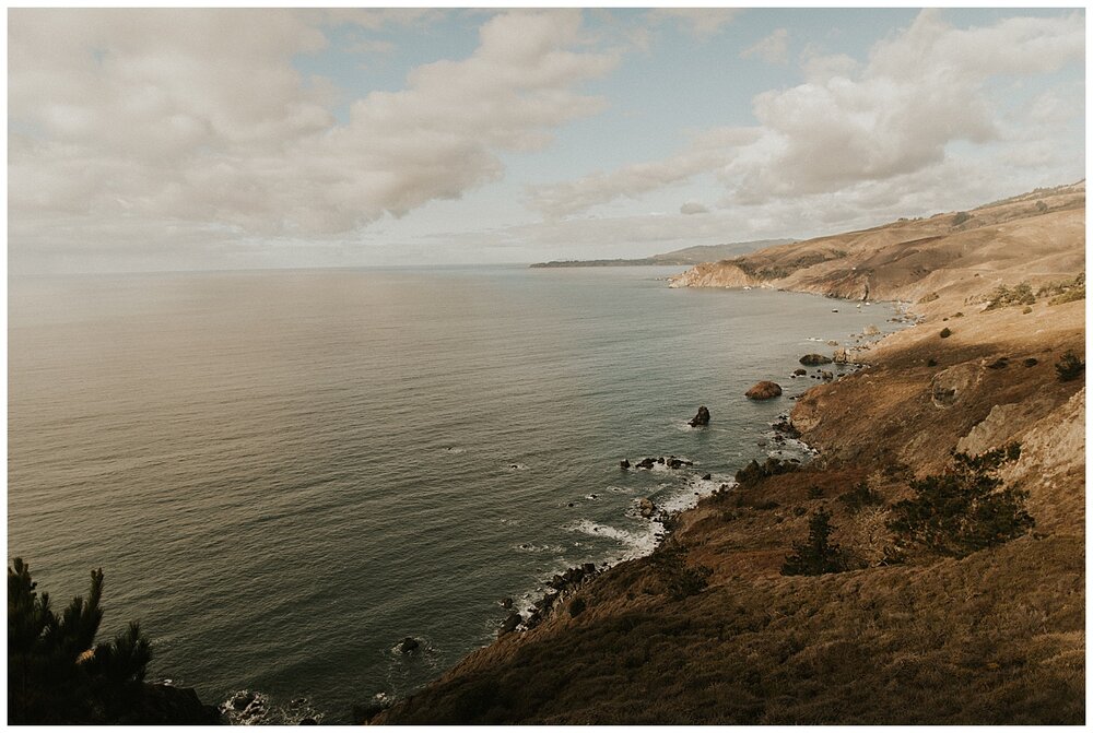 Muir Woods Wedding 