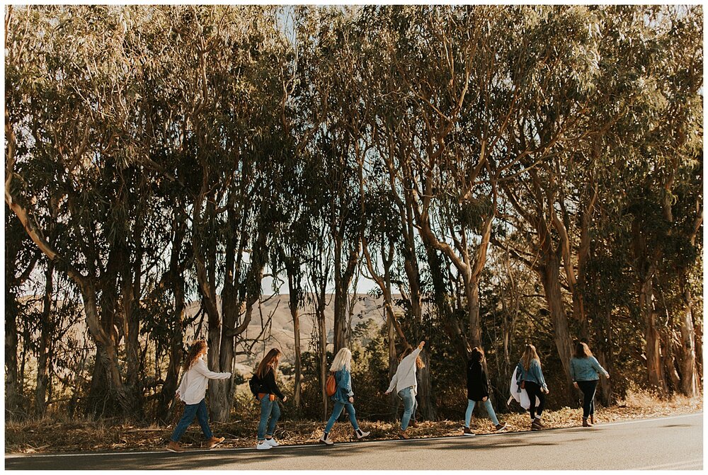 Muir Woods Wedding 