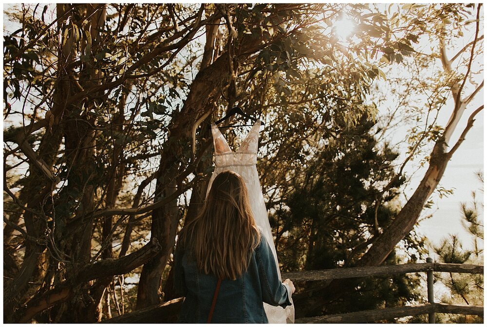 Muir Woods Wedding 