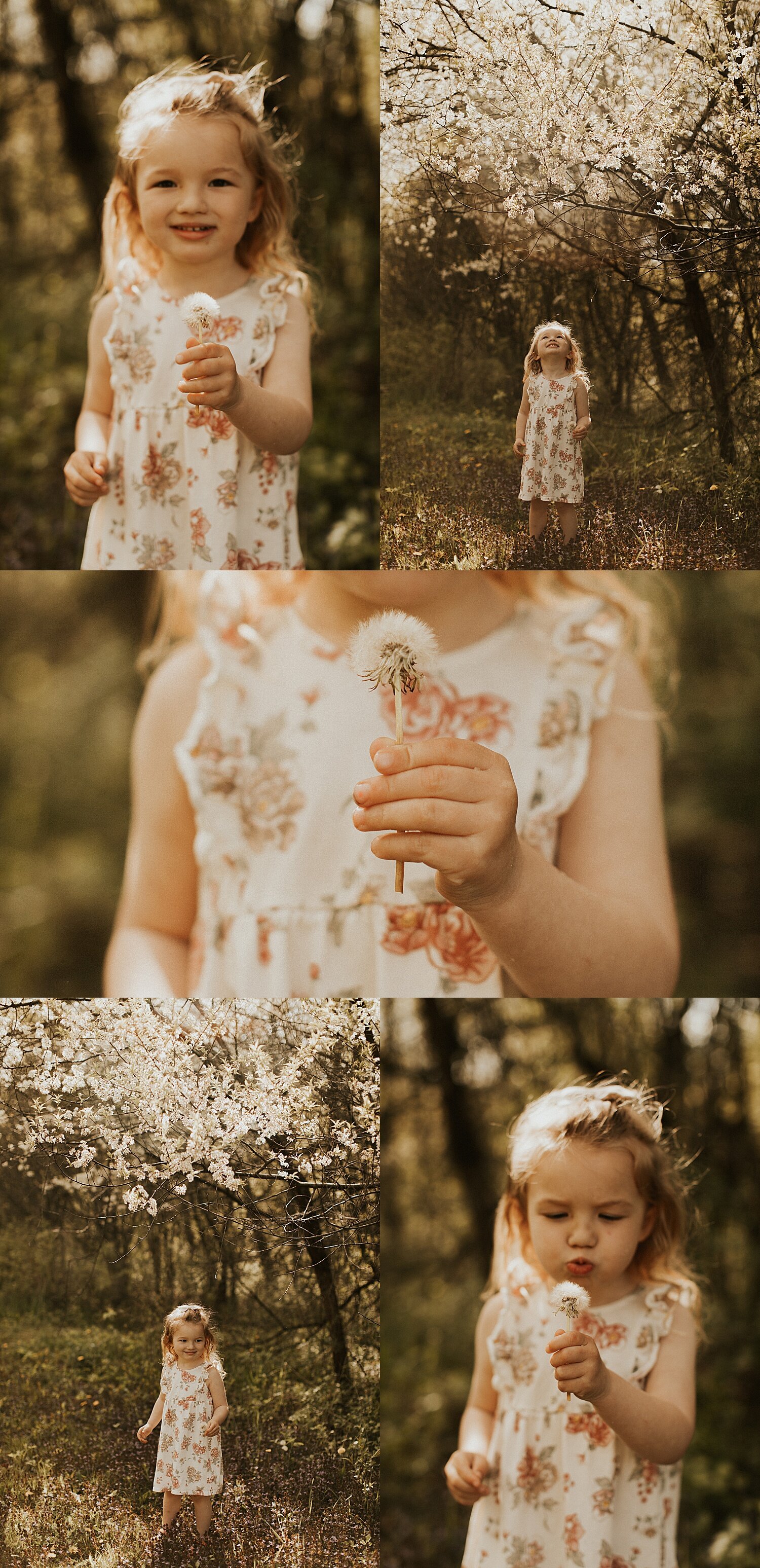 minnesota family session + one year birthday