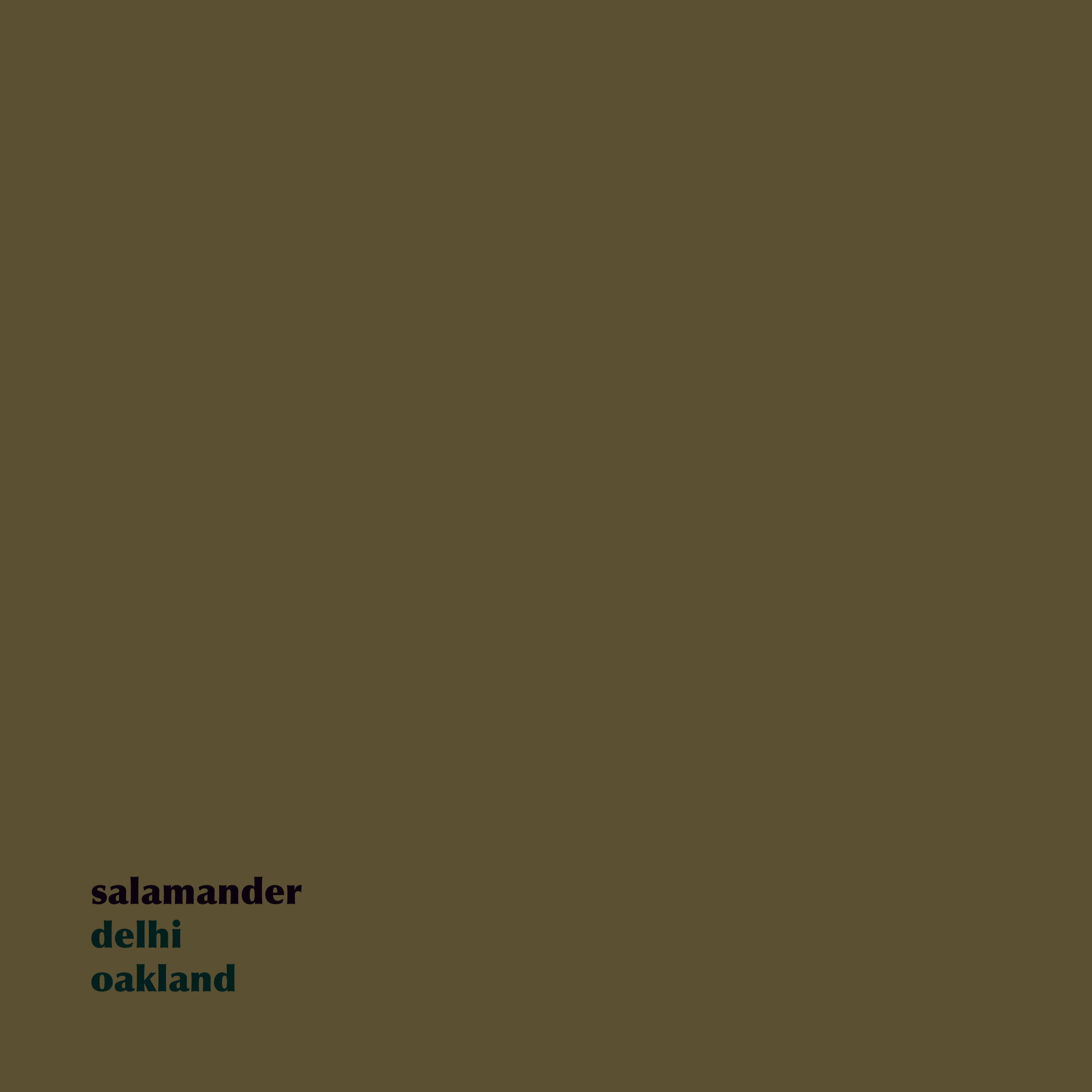 Salamander - Delhi / Oakland (2010)