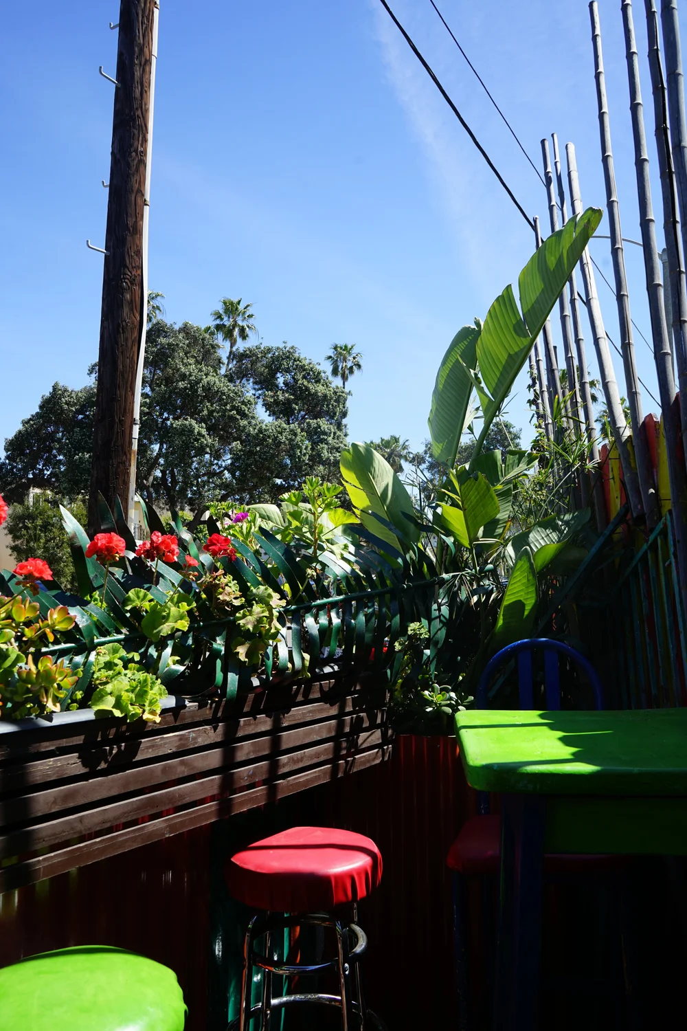  outside dining at cha cha 