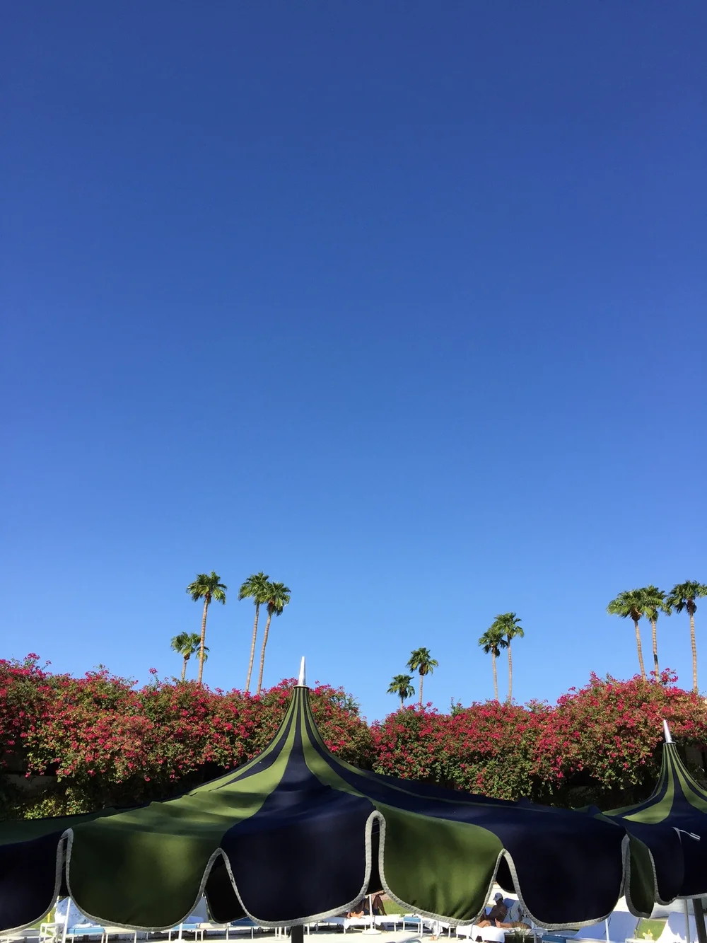  Sky Views at the Parker pool 