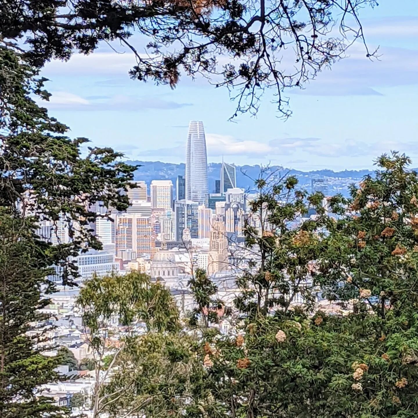 #buenavista #salesforcetower #sanfrancisco #sfbayarea #sanfranciscobay #whataniceview