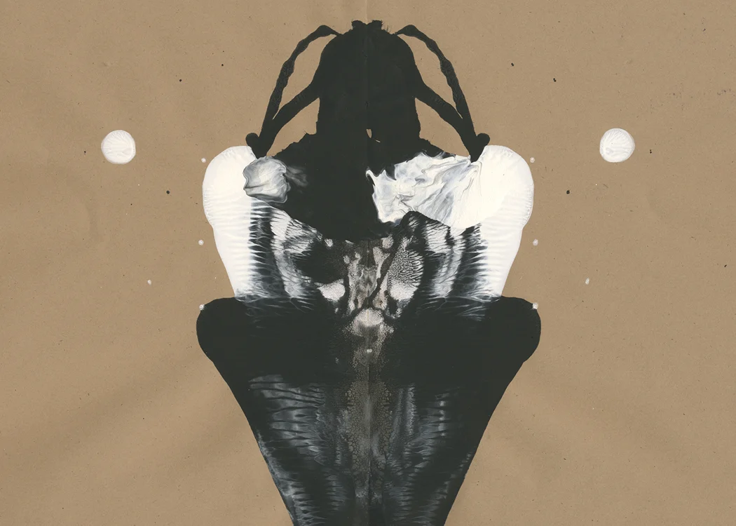 portfolio images exact sizes-144.jpg