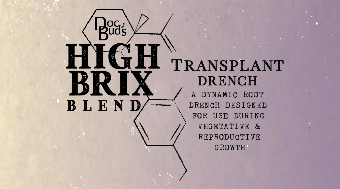 Web-Transplant-01-01.jpg