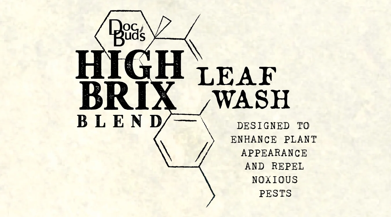 WEB-Leaf Wash-01.jpg