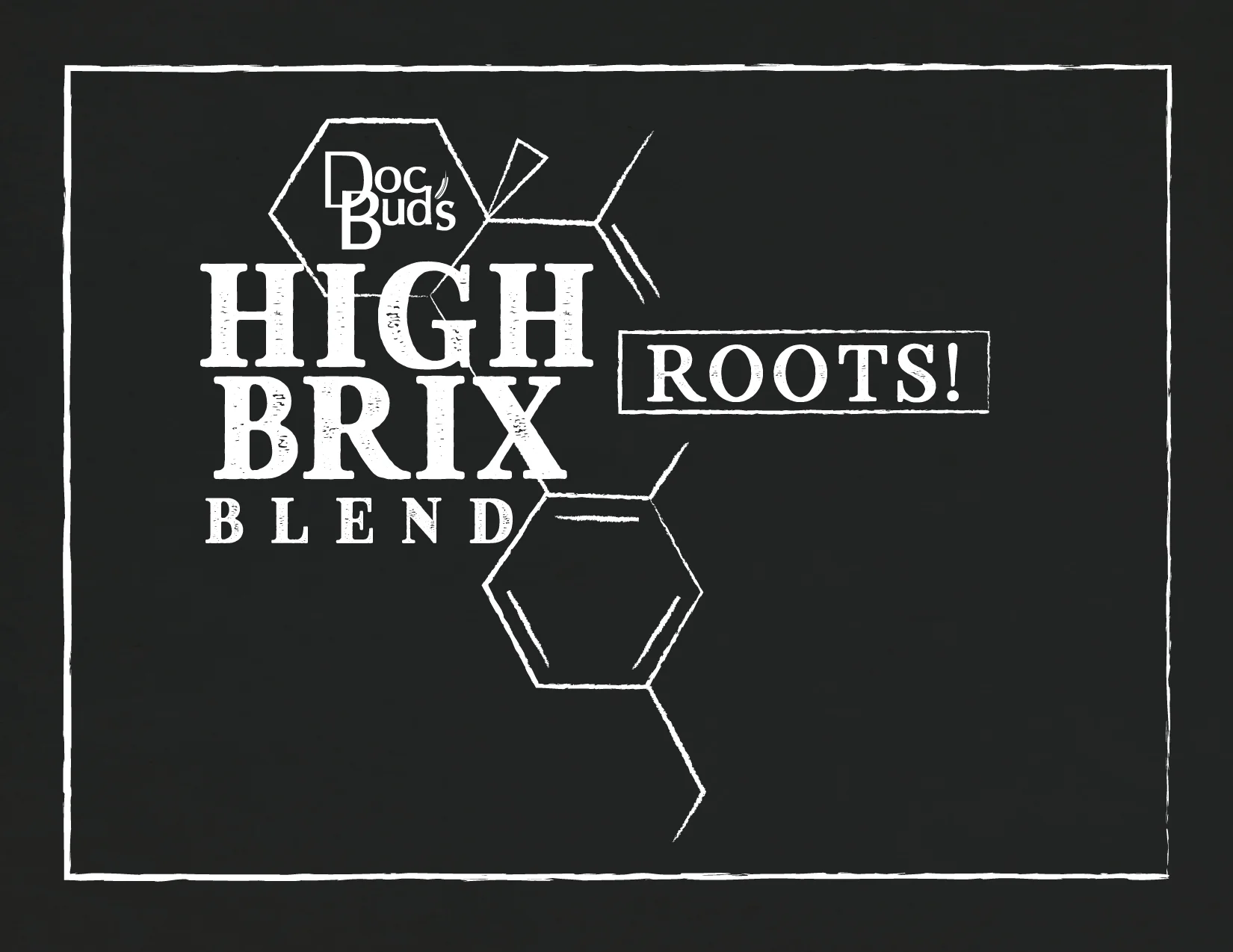 Web- Roots_FRONT.jpg
