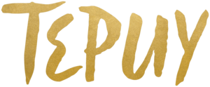 Tepuy_Logo_Gold+(1).png