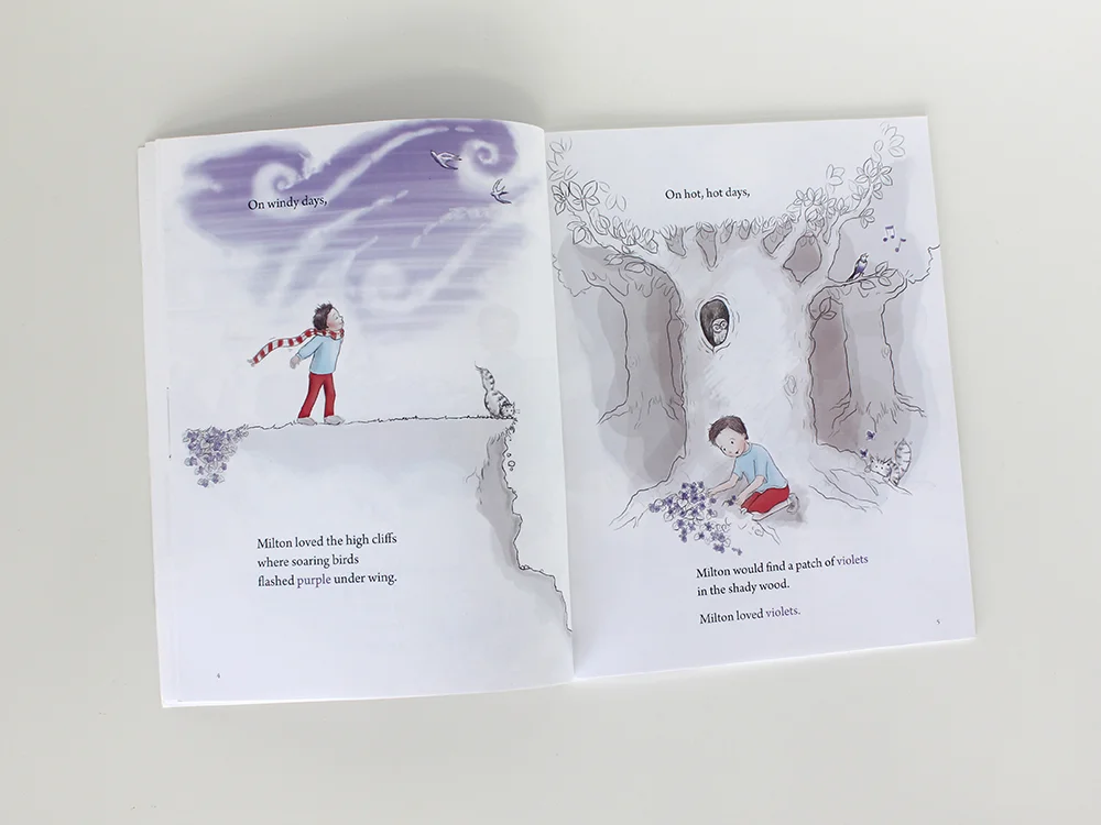 The Boy Who Could See Purple Illustration Children’s Books