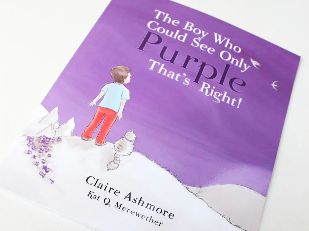 The Boy Who Could See Purple Illustration Children’s Books