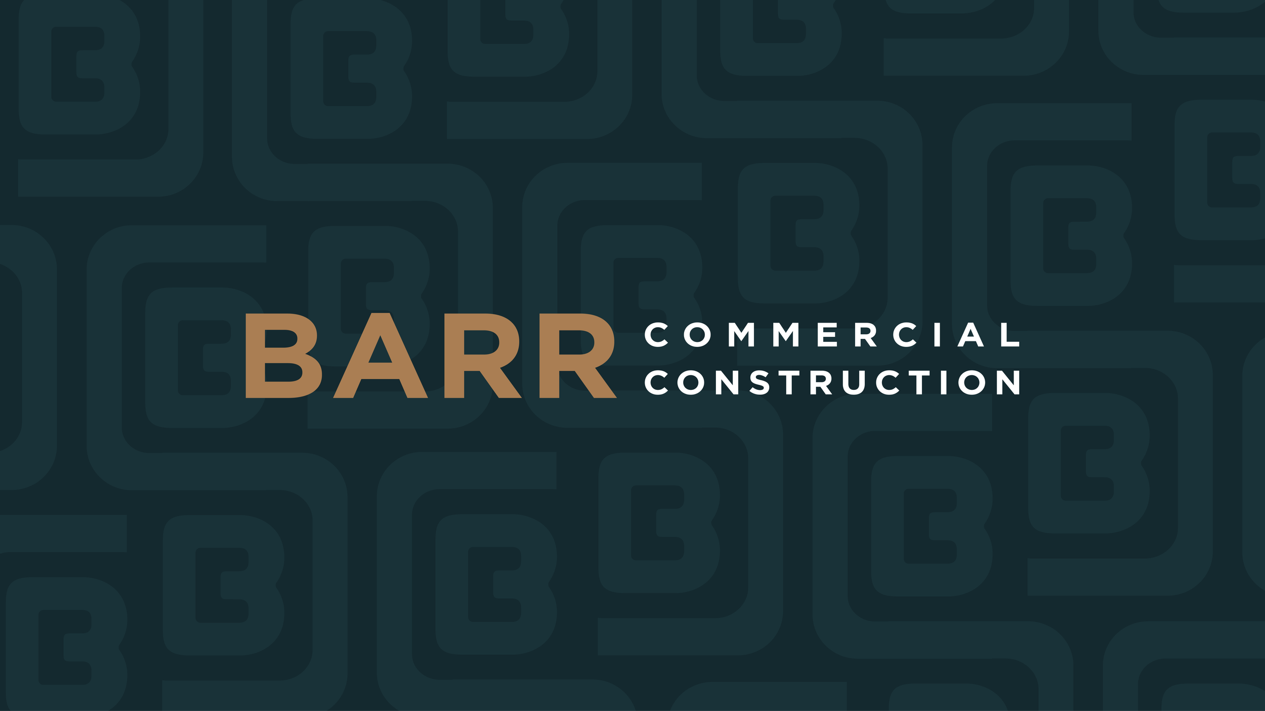 Barr-Logo-Option2-Pattern.png